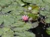 img0019.jpg