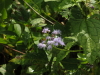 img0031.jpg