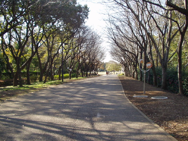 img0004.jpg