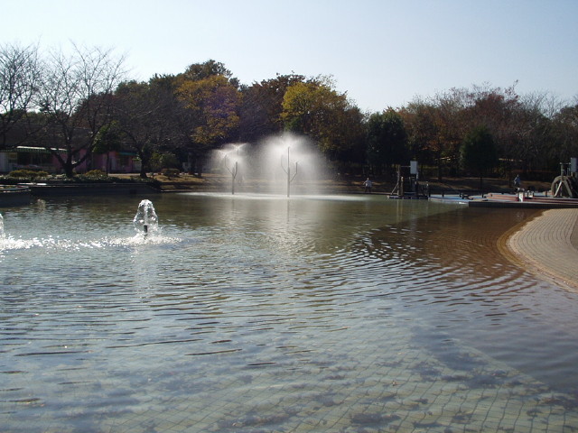 img0007.jpg