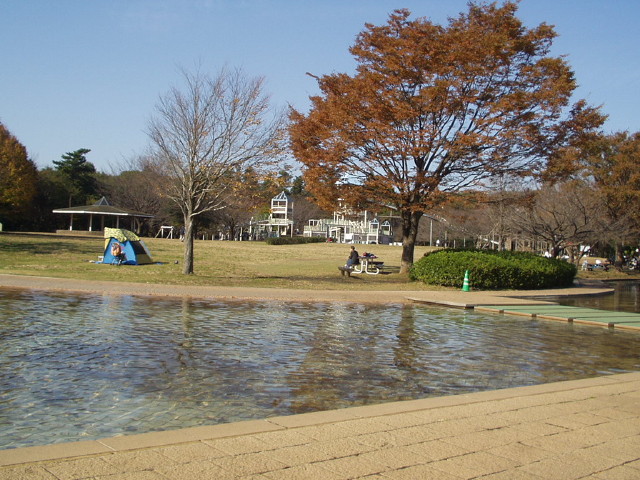 img0010.jpg