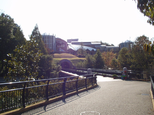 img0013.jpg