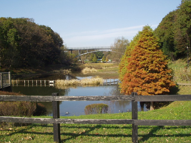 img0016.jpg