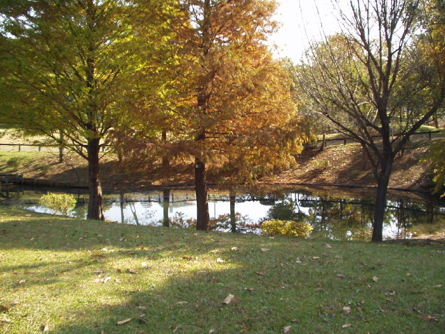 img0017.jpg