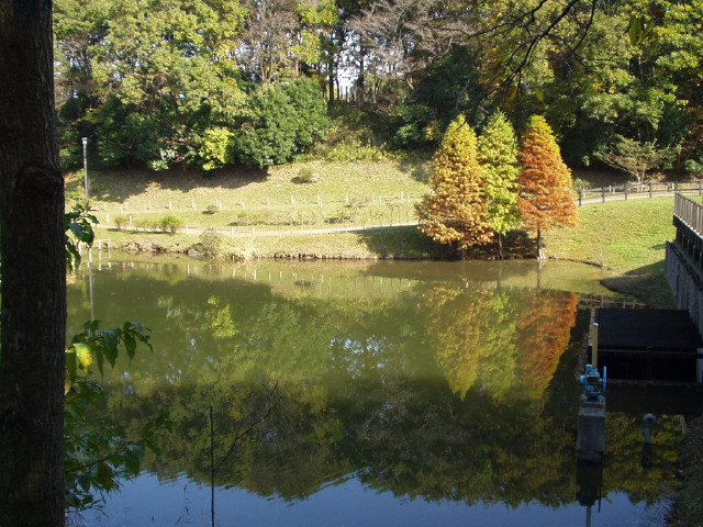 img0019.jpg
