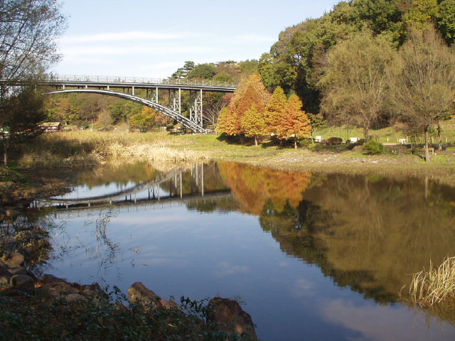 img0020.jpg