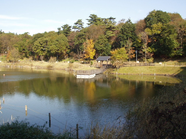 img0021.jpg