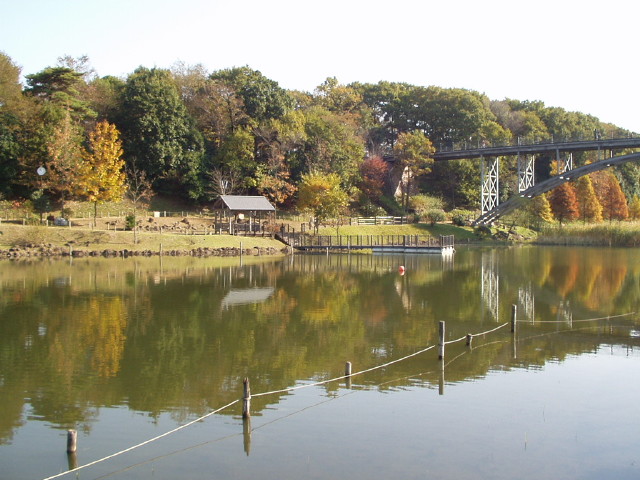 img0025.jpg