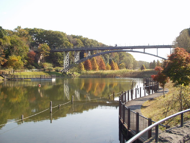 img0026.jpg