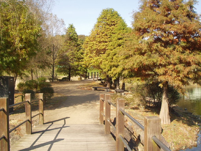 img0028.jpg