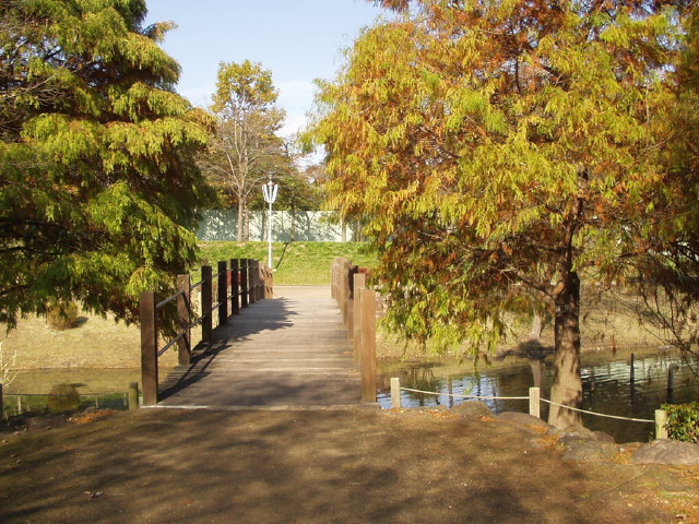 img0029.jpg