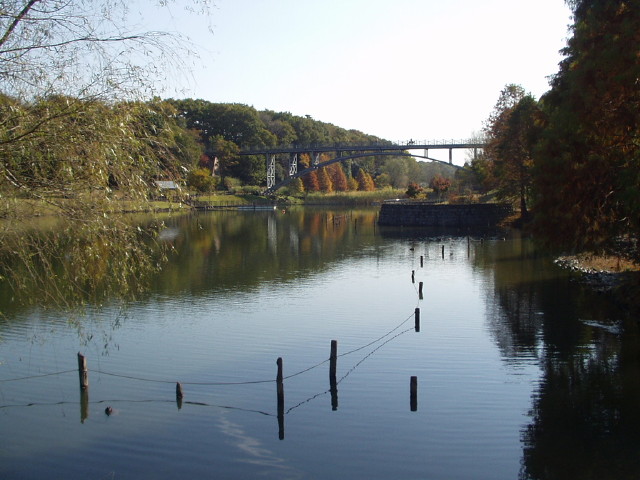 img0031.jpg