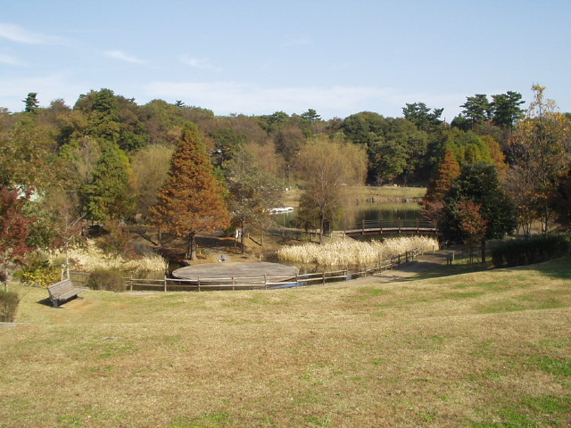 img0032.jpg