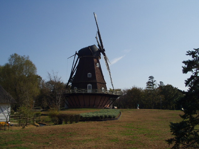 img0035.jpg