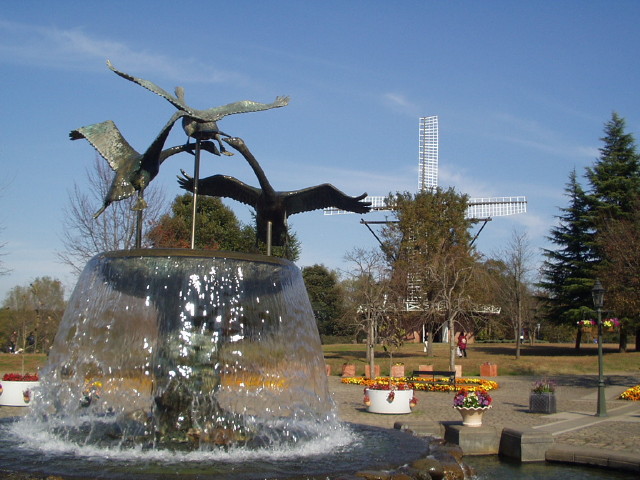 img0042.jpg