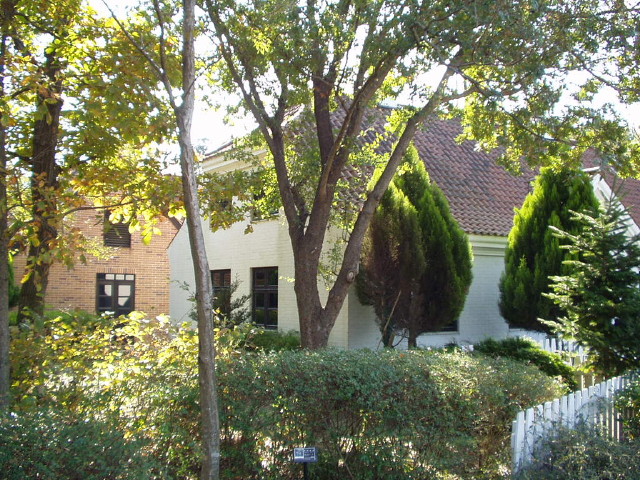 img0047.jpg