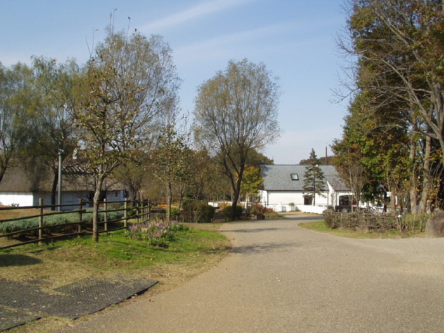 img0049.jpg