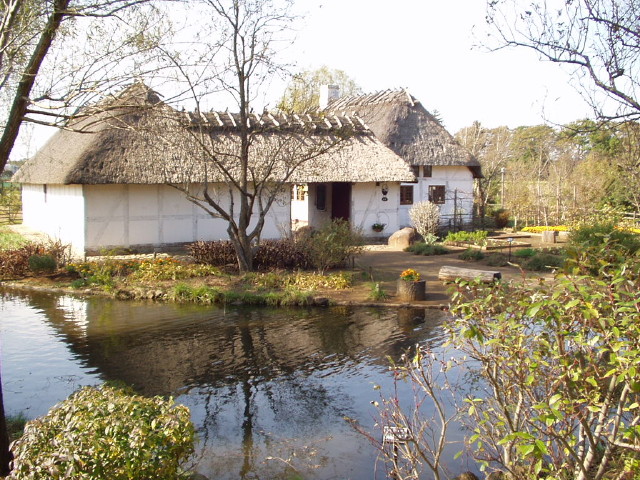 img0051.jpg