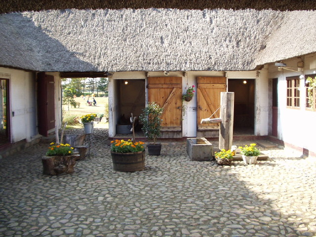 img0052.jpg