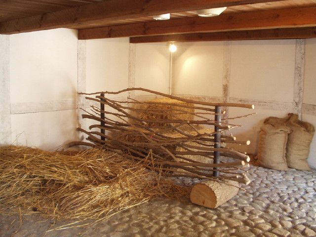img0055.jpg