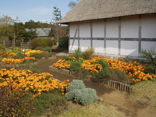 img0057.jpg