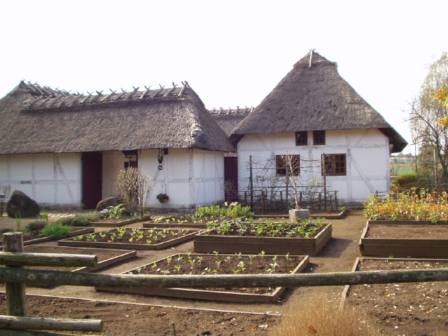 img0059.jpg