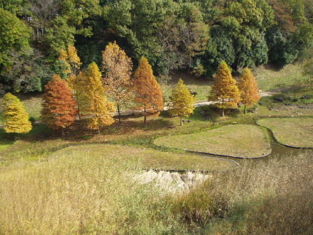 img0061.jpg