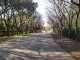 img0004.jpg