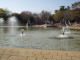 img0009.jpg