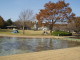 img0010.jpg