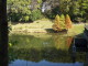 img0019.jpg