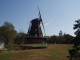 img0035.jpg