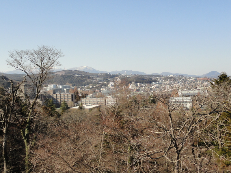 img0010.jpg