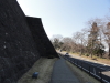 img0004.jpg