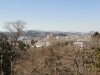img0010.jpg