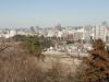 img0011.jpg