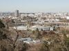 img0013.jpg