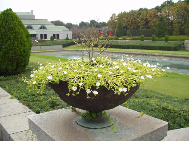 img0008.jpg