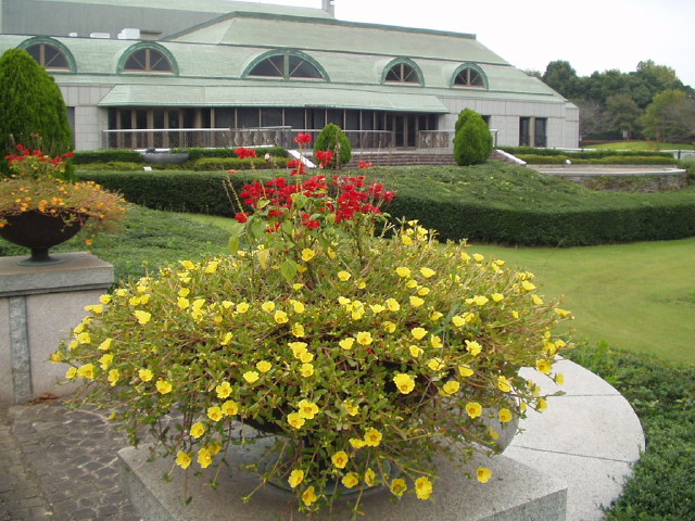 img0010.jpg