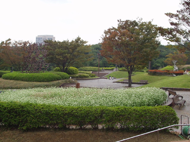 img0015.jpg