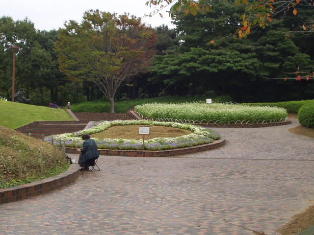 img0017.jpg