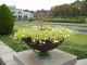 img0008.jpg