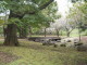 img0020.jpg