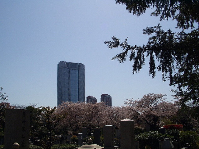 img0007.jpg