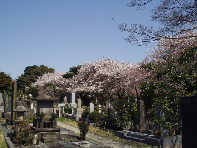 img0016.jpg