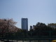 img0005.jpg