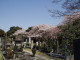 img0016.jpg