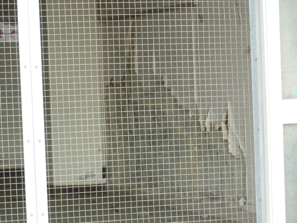 img0007.jpg