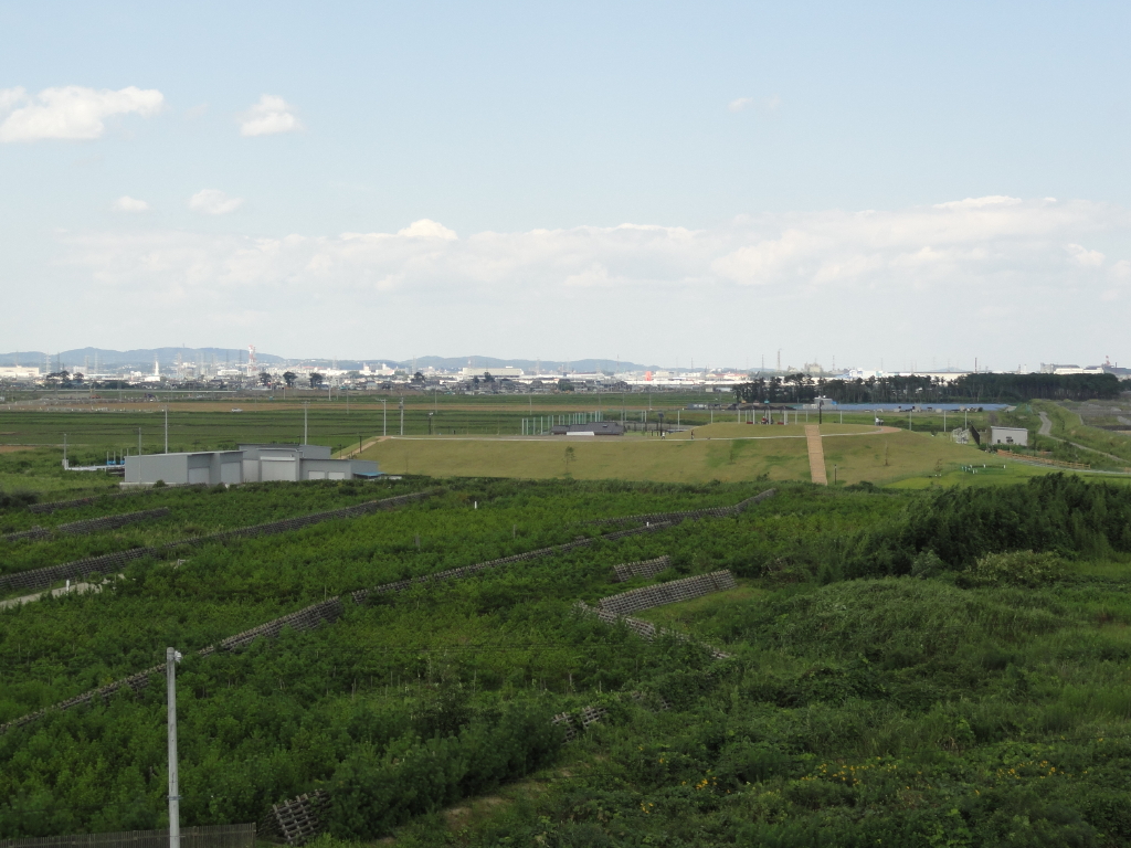 img0015.jpg