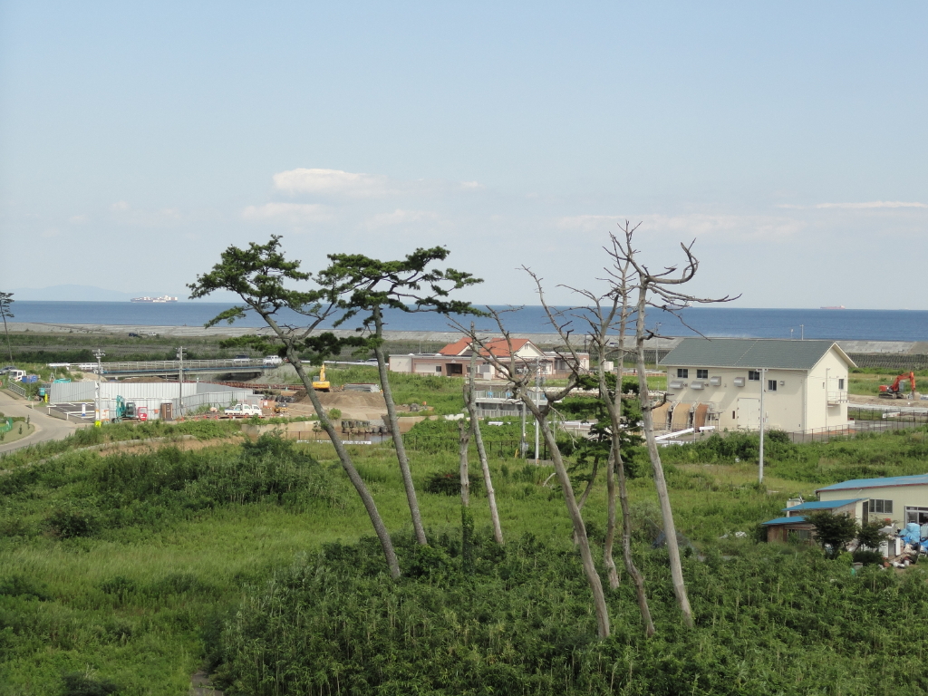 img0025.jpg